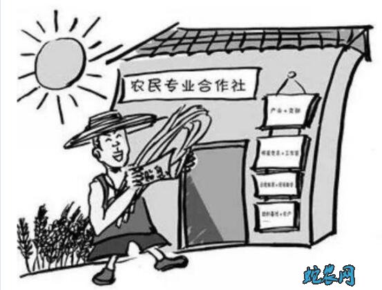 2020年农村三大补贴政策