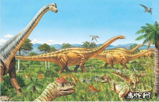 四川高原圣湖现神秘物种！“猎塔湖水怪”可能就是恐龙之一的克柔龙！