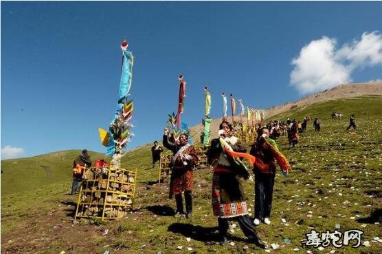 四川高原圣湖现神秘物种!“猎塔湖水怪”可能就是恐龙之一的克柔龙!