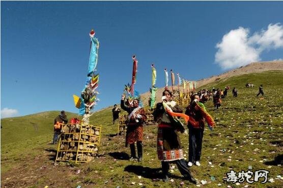 四川高原圣湖现神秘物种！“猎塔湖水怪”可能就是恐龙之一的克柔龙！