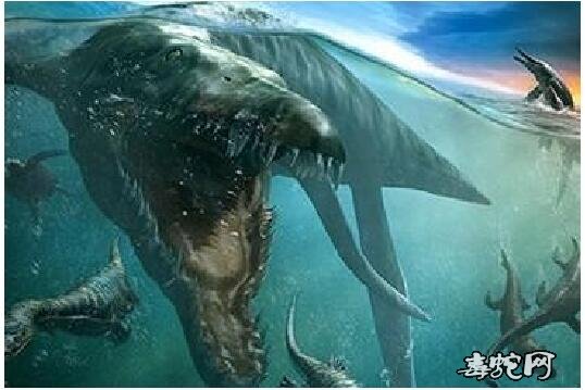 四川高原圣湖现神秘物种！“猎塔湖水怪”可能就是恐龙之一的克柔龙！