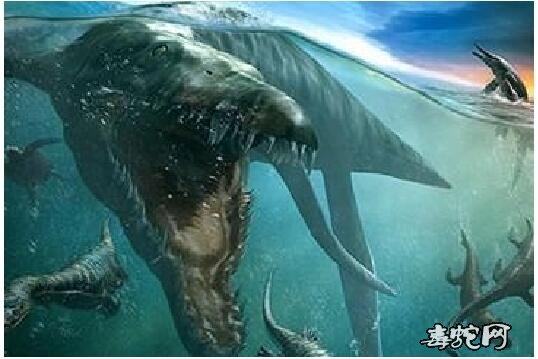 四川高原圣湖现神秘物种!“猎塔湖水怪”可能就是恐龙之一的克柔龙!