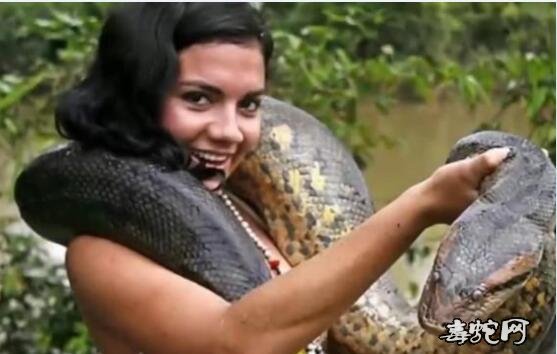 痴狂的养蛇人！马来西亚华裔青年酷爱养蛇曾被蛇咬一年！