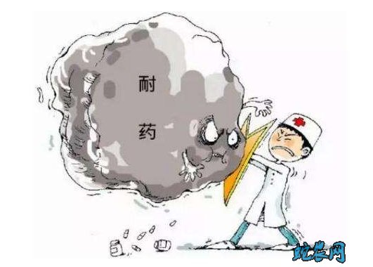 人参皂苷rg3