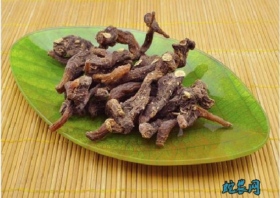 黄精的种植技术
