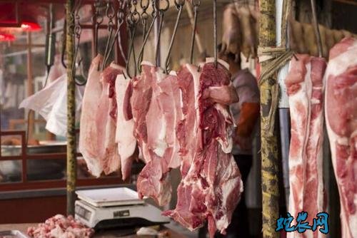 猪肉价格持续高位!国外价格低却进口受阻!