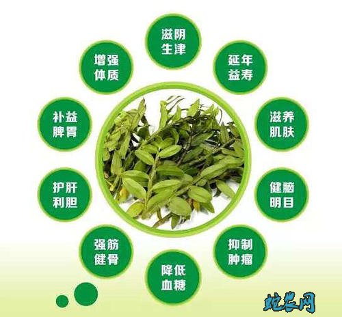 石斛的功能、石斛的功效与作用!