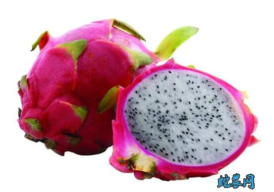 白心火龙果