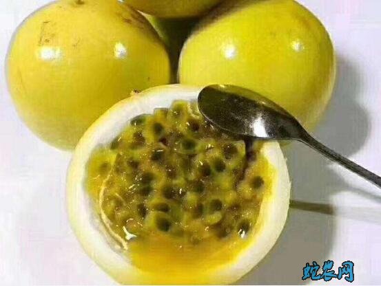 百香果的籽可以吃吗