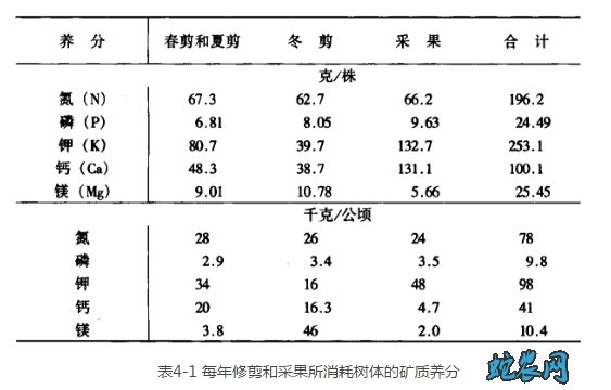 弥猴桃的种植技术