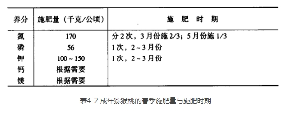 弥猴桃的种植技术