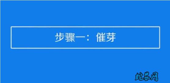 草莓种子的种植方法和技术