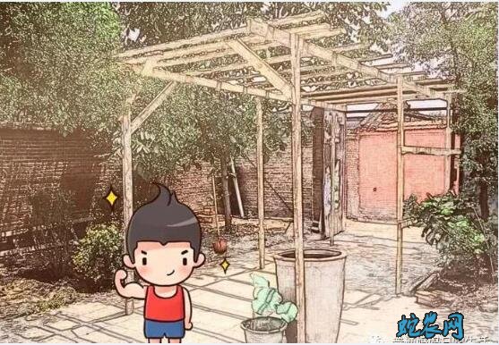 农村院子葡萄架效果图