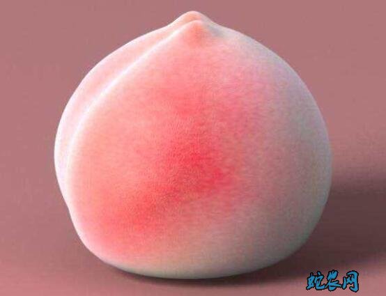 桃子的种类