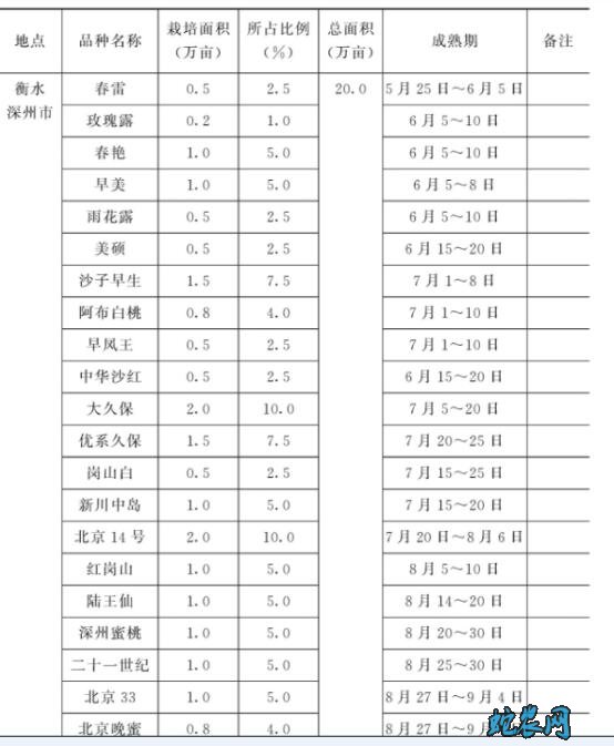 桃子的种类