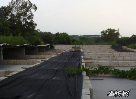 生态养蛇场