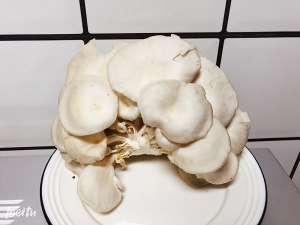 椒盐蘑菇的做法步骤图