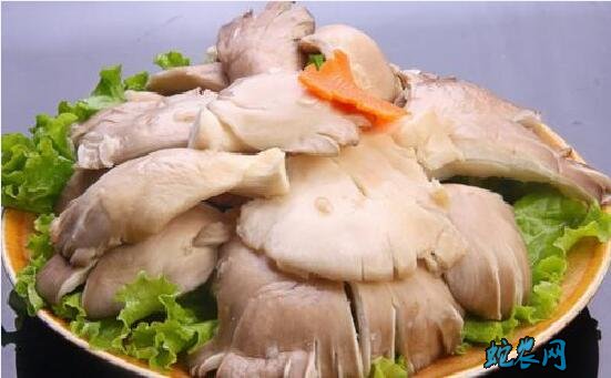 平菇的禁忌