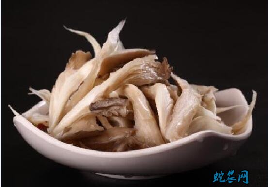 平菇的禁忌
