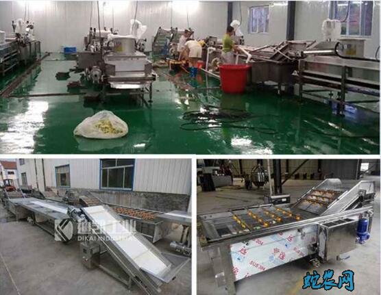 蔬菜加工厂用水要求及污水处理技术
