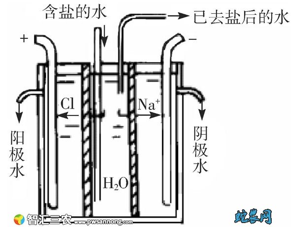 蔬菜加工厂用水要求及污水处理技术
