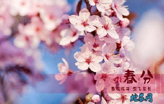 2020年春分是几月几日?春分的风俗和禁忌有哪些?