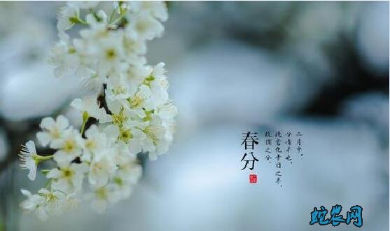 2020年春分是几月几日?春分的风俗和禁忌有哪些?