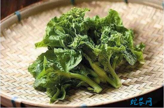 2020年春分是几月几日?春分的风俗和禁忌有哪些?