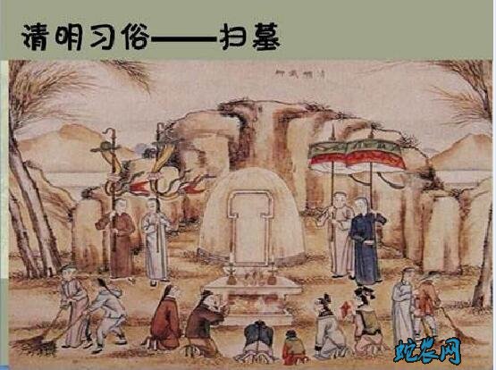 2020年清明是几月几日?清明的风俗和禁忌有哪些?