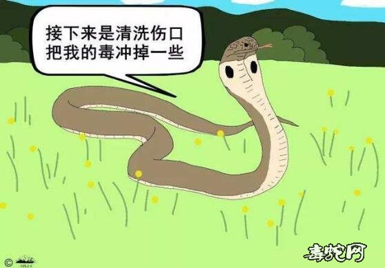 毒蛇咬伤频发!卫生院进行毒蛇咬伤知识宣传!