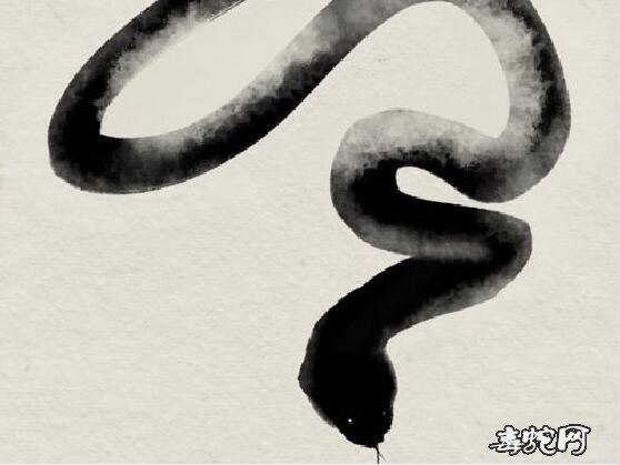 老农说“一地有墨蛇,十里无毒蛇”!墨蛇真的存在过吗?