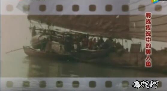 揭秘1976年渔民抓捕“美人鱼”事件