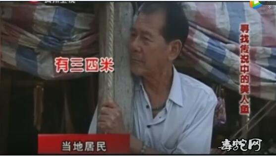 揭秘1976年渔民抓捕“美人鱼”事件