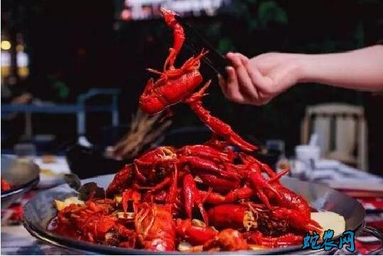 养殖业什么最赚钱2020年农村?