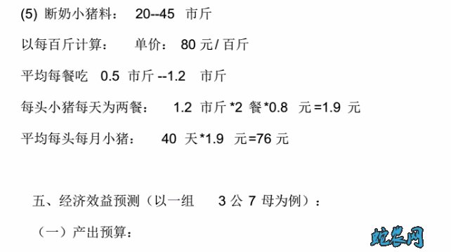 野猪养殖、野猪养殖可行性报告