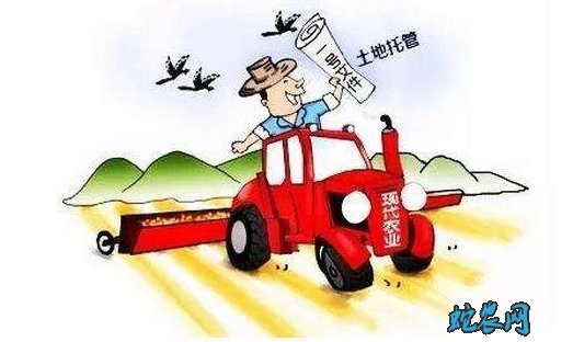 土地托管农民增收