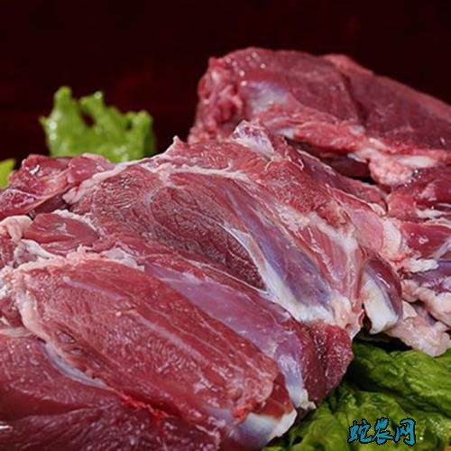 2020年3月27日羊肉价格行情、今日羊肉多少钱一斤？