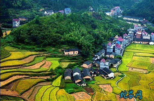 开化县农业农村局盘点2019年十件大事
