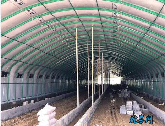 养鸭大棚造价、养鸭大棚是怎么建造的?