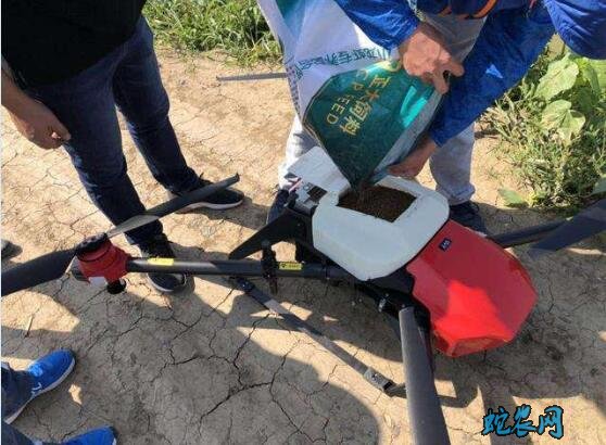 小龙虾常见疾病原因?养殖技术不当导致大量死亡分析!
