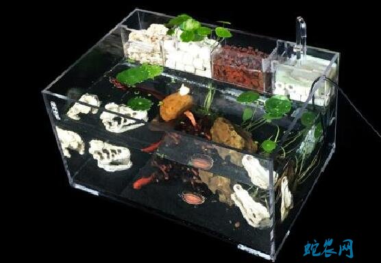 鱼缸制作、玻璃鱼缸制作方法详解！