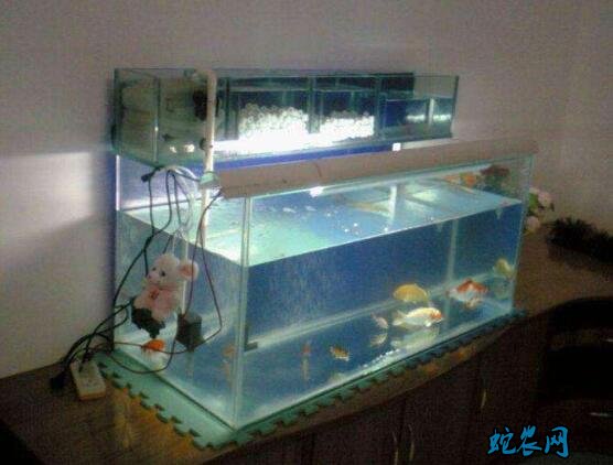鱼缸制作、玻璃鱼缸制作方法详解!
