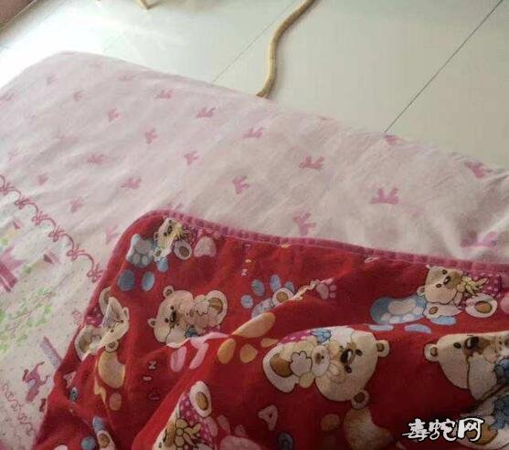 常州女子凌晨报警称被窝有蛇!民警赶到却虚惊一场!
