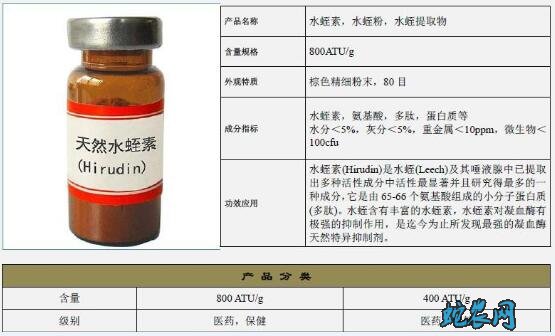 水蛭素是什么？水蛭素的功效与作用？