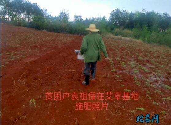 陕西:抗疫不松劲,战贫不停步