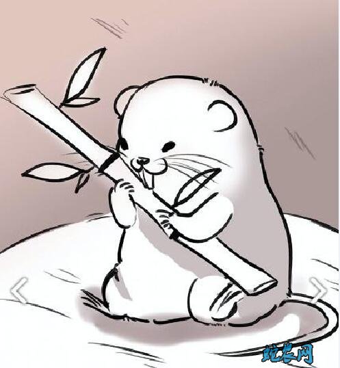 竹鼠吃什么