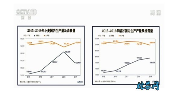 中国粮食多为什么还要进口?听听官方是怎么说的!