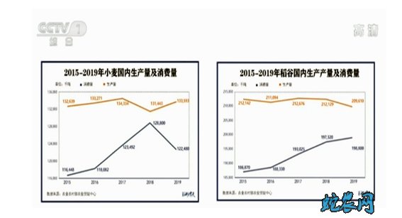 中国粮食多为什么还要进口？听听官方是怎么说的！