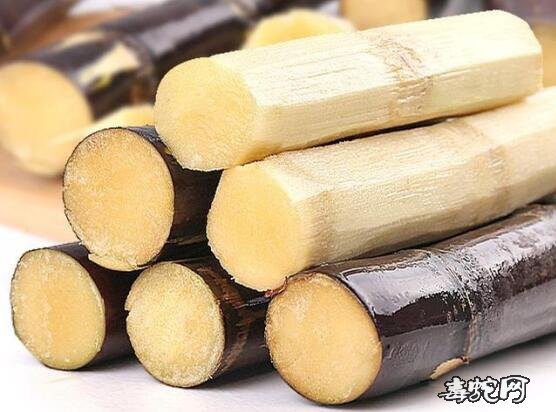 清明甘蔗“毒”过蛇!霉变甘蔗不可食是真的吗?