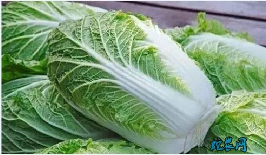 常见青菜